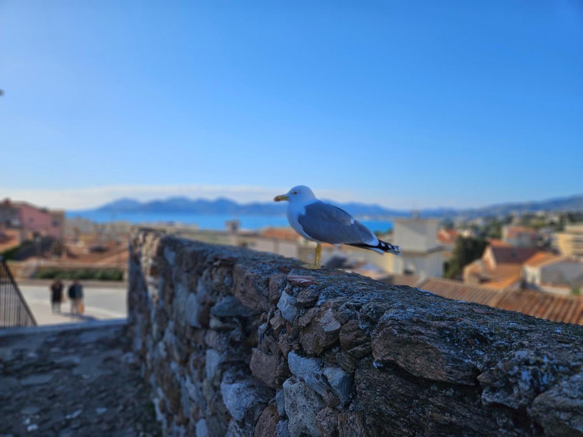 Sweet Azur - Host Provence * Le Cannet