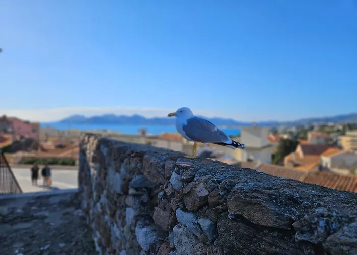 Sweet Azur - Host Provence